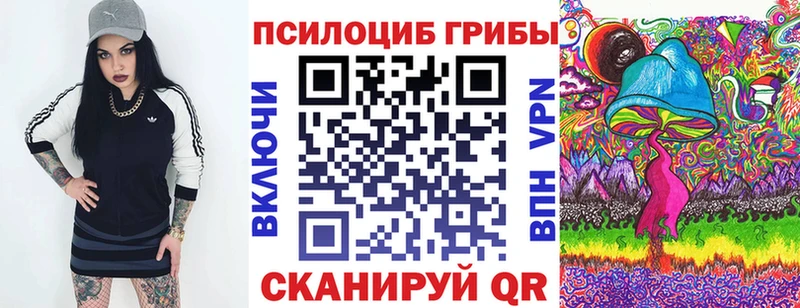 Псилоцибиновые грибы Psilocybine cubensis где продают наркотики Старица