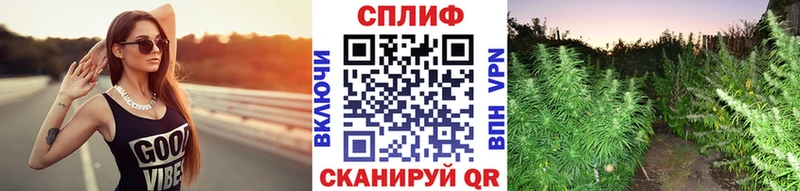 где продают наркотики  Старица  Конопля OG Kush 